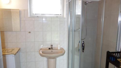 a bathroom with a sink and a shower at Chalupa Obora in Cerhonice
