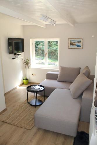 a living room with a couch and a table at Chechar Inn Zlatar in Nova Varoš