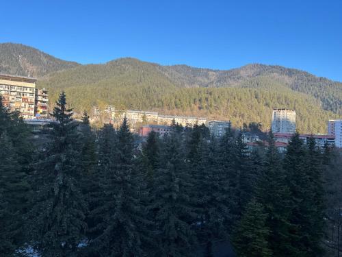 a group of trees in front of buildings and mountains at Borjomi Likani Health & Spa Centre in Borjomi