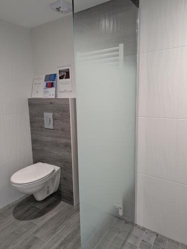 a bathroom with a toilet and a shower stall at Les Bruyères du Mont in Céaux