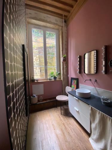 une salle de bain avec un lavabo et une fenêtre dans l'établissement Appartement de canut, à Lyon