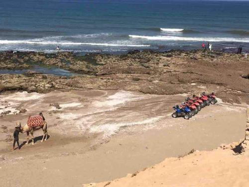a group of people on a four wheeler on the beach at Dar Manzily in Draïd