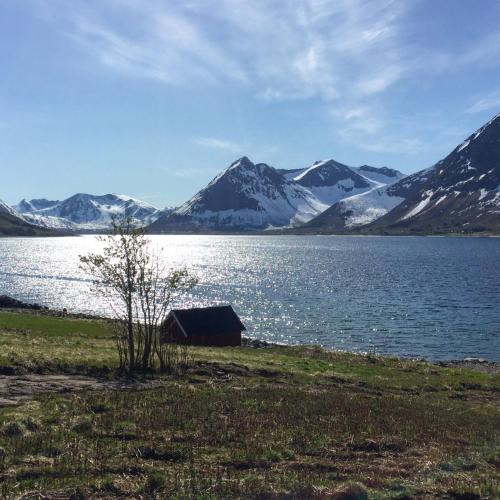 a house on the shore of a lake with snow covered mountains at Villa Godfjord in Sortland