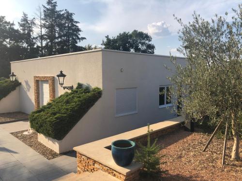 a white house with a courtyard with a plant at Logement cadre Champêtre, entre ville et campagne in Commelle-Vernay