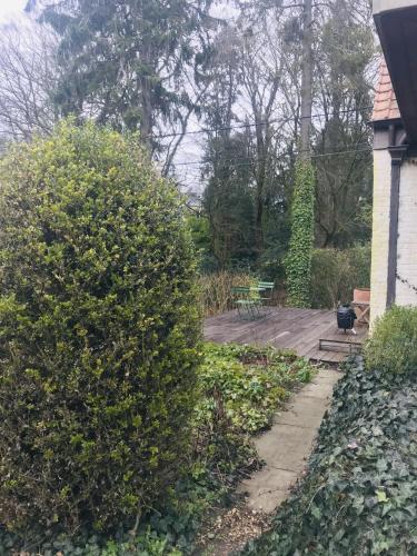 a garden with a bench and a bush at Panacée Guesthouses in Ronse