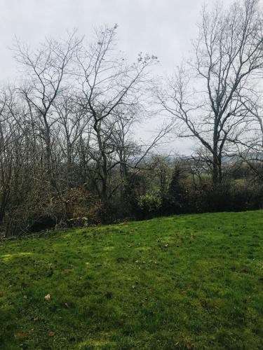 a green field with trees in the background at Panacée Guesthouses in Ronse
