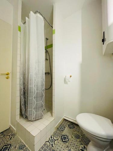 une salle de bain avec douche et toilettes dans l'établissement Le Studio de Théa - Private Parking - 2 Guests, au Mans