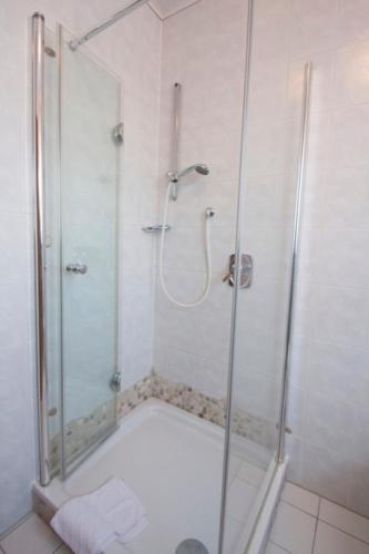 a bathroom with a shower with a glass door at Hotel Edel in Haibach