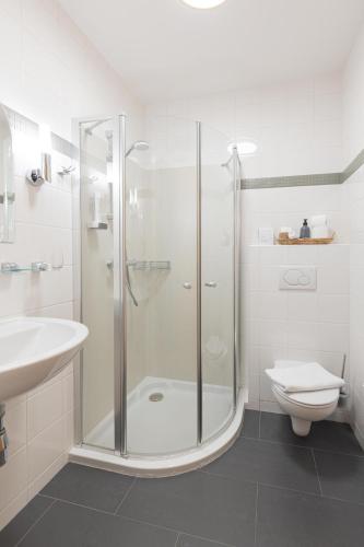 a bathroom with a shower and a toilet and a sink at Schliefauhof in Randegg