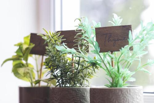 three potted plants sitting on a window sill at Flat 3 Willow Brook in Bedworth