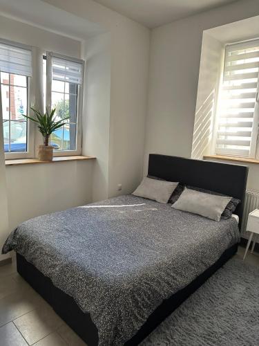 a bedroom with a bed in a room with windows at Ferienwohnung Louis in Gerolstein