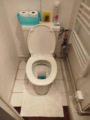 La salle de bains est pourvue de toilettes et de 2 rouleaux de papier toilette. dans l'établissement T2 Strasbourg - Le 