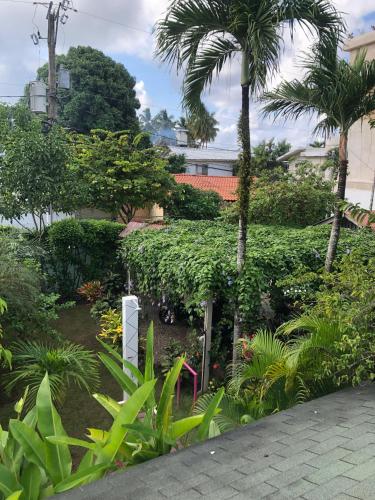 Jardín al aire libre en Hotel Casa Robinson