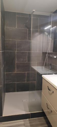 La salle de bains est pourvue d'une douche et d'une paroi en verre. dans l'établissement Chez Philippe et Agnès Studio, à Vauciennes