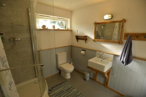 ein Badezimmer mit Toilette, Waschbecken und Dusche in der Unterkunft Sweet Pea Cottage, Amroth in Amroth