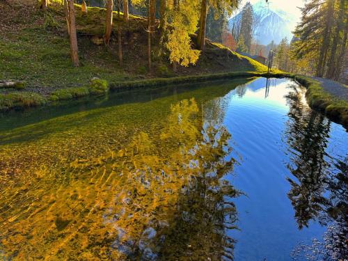 a river in a forest with its reflection in the water at SwissHut Idyllic Farm Cabin - Chalet Grabenmuhle 2 in Sigriswil