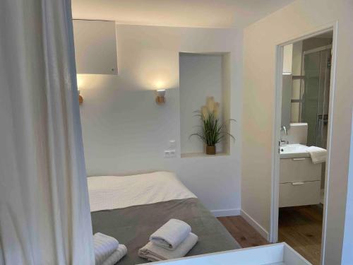 Le Minimaliste, Appartement Hyper Centre Climatisé