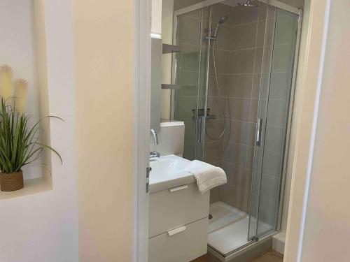 une salle de bain avec une douche, un lavabo et des toilettes dans l'établissement Le Minimaliste, Appartement Hyper Centre Climatisé, à Villefranche-sur-Saône
