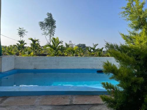 a blue swimming pool next to a concrete wall at Lilly Farm in Halgūr