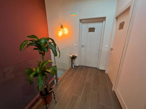 Fotografie z fotogalerie ubytování Grupo García de Paredes apartamentos turísticos v destinaci Trujillo