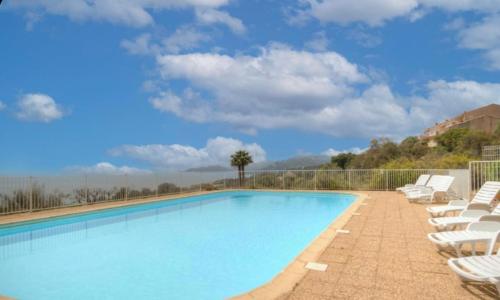 une grande piscine avec des chaises longues et un palmier dans l'établissement Terrasse sur la mer 20, à Porto-Vecchio
