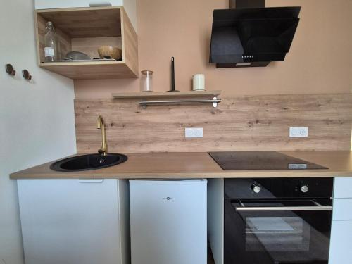 une petite cuisine avec un évier et un micro-ondes dans l'établissement Loft T2 - Hypercentre, à Angers