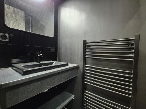 une salle de bain avec un lavabo et un miroir dans l'établissement Loft T2 - Hypercentre, à Angers