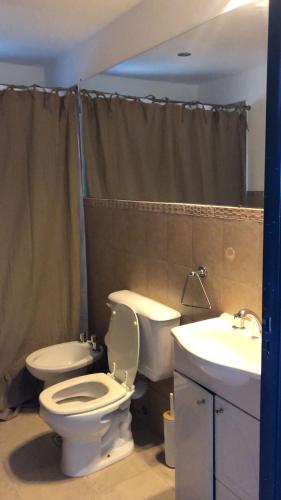 a bathroom with a toilet and a sink at Cabaña Tala Huasi in Villa Icho Cruz