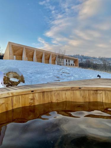 a building in the snow with a body of water at ViilA Cheia in Cheia