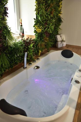 La salle de bains est pourvue d'une baignoire remplie d'eau. dans l'établissement La Pommeraie - Balnéo- Queen Size- Canal- Parking, à Chécy