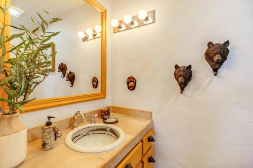 a bathroom with a sink and a mirror at Private Fishing Pond Mtn-View Home in Florissant! in Florissant