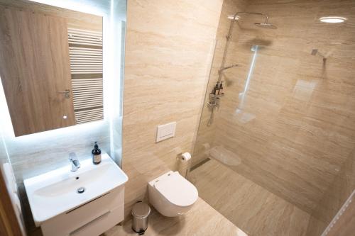 a bathroom with a toilet and a sink and a shower at Apartmán Dobré Bydlo v Beskydech in Horní Bečva