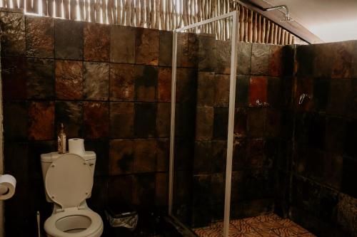 a bathroom with a toilet and a shower at A Traveller's Palm in Phalaborwa