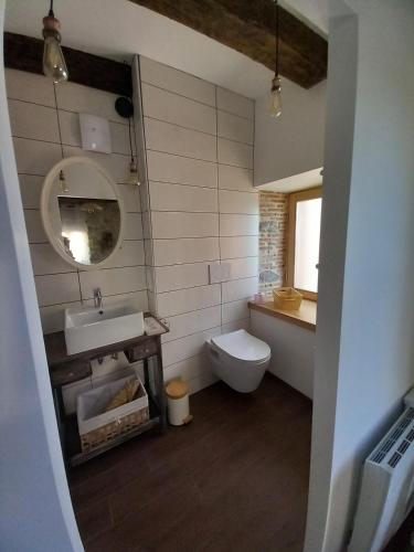 une salle de bain avec un lavabo et des toilettes dans l'établissement La Maison au Camélia, à Villerest