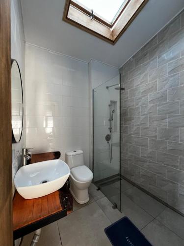 a bathroom with a sink and a toilet and a shower at Antu relajo y natura in Curacautín