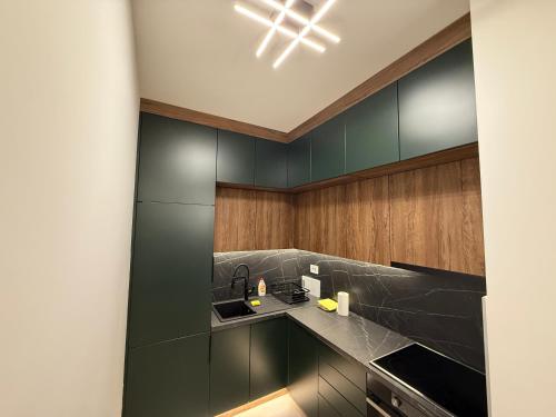 Η κουζίνα ή μικρή κουζίνα στο Apartman La Repit 2