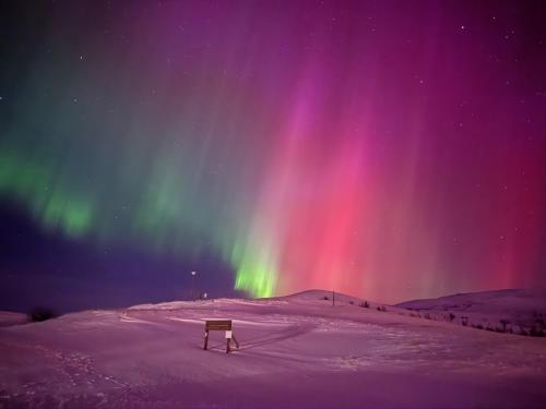 an aurora in the sky with a bench in the snow at Hlid Cottages in Myvatn