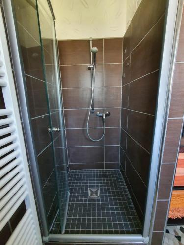 a bathroom with a shower with brown tiles at Pension Katja in Zweibrücken
