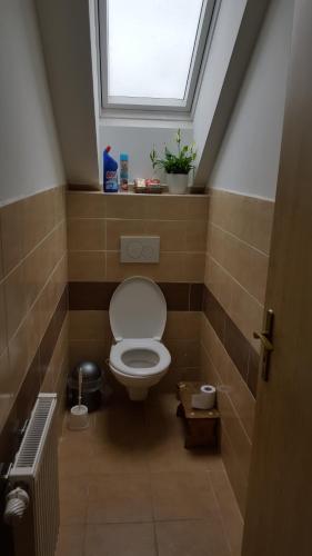 a small bathroom with a toilet and a window at Farm Stay NH Stables in Nýřany