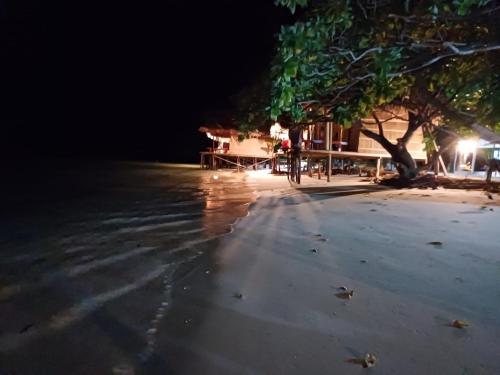 a beach at night with a house in the background at Coco Huts Guest House in Waisai