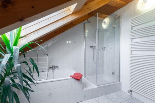 a bathroom with a shower and a bath tub at Gemütliche Wohnung nahe München mit kleinem Garten in Emmering