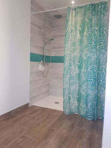 une douche avec un rideau de douche dans une salle de bain dans l'établissement VIlla Elise, lumineuse et proche plage, à LʼÉpine