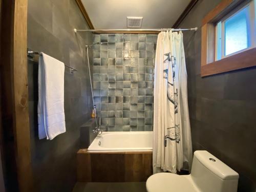 a bathroom with a tub and a toilet and a shower at Carpinterito cabaña, ensenada campestre in Puerto Varas