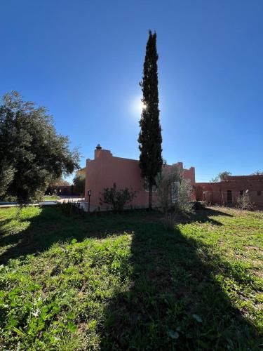 Κήπος έξω από το Villa SANDI