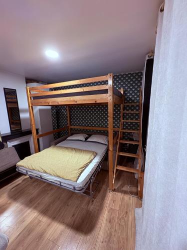 une chambre avec deux lits superposés dans une pièce dans l'établissement Studio equipé, lumineux a Paris, à Paris