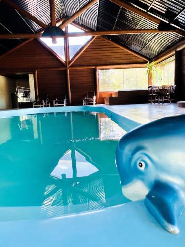 a blue dolphin in the water in a pool at Eco Hotel Bouganville in São José dos Pinhais