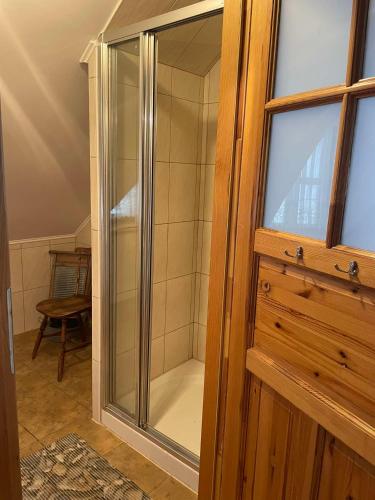 a glass shower in a bathroom with a wooden door at Agroturystyka Biebrzańska Kraina in Pluty
