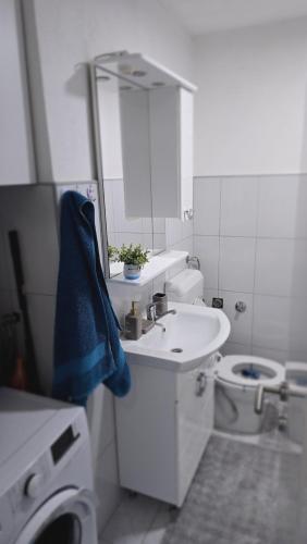 a bathroom with a sink and a toilet and a mirror at Stan na dan Bosanska Krupa in Bosanska Krupa