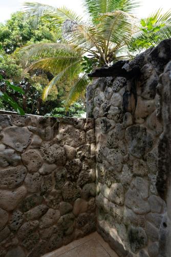 a stone wall with a palm tree behind it at Isla Fuerte Eco House in Isla Fuerte