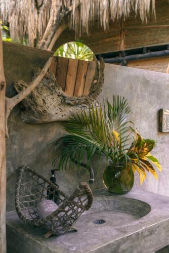 a bathroom sink with a plant on top of it at Isla Fuerte Eco House in Isla Fuerte